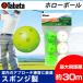 tabataTABATA Golf тренировка для тренировочный инструмент тренировка мяч тренировка контейнер ho low мяч GV-0310