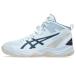  Asics asics корзина обувь DUNKSHOT MB 10 Dunk Schott L.E 1064A023-401 asics