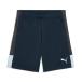  Puma (PUMA) футбол одежда шорты мужской футбол INDIVILIGA TR шорты 660976 02 sc