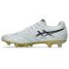 �A�V�b�N�X(asics) �T�b�J�[�X�p�C�N �����Y DS LIGHT PRO 1103A126-103 �֘A�摜3