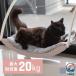  кошка bed спальное место гамак окно нежный ... присоска мощный вакуум тип весна лето осень-зима модный симпатичный кошка гамак . починка простой легкий в использовании 