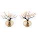  outlet кукла hinaningyo Sakura . одиночный товар .30 номер чёрный шт. 26a-ya-0553