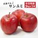  Aomori яблоко [ солнечный ..][ средний шар ] примерно 5kg(18~20 шт )x1 коробка Aomori префектура юг часть блок производство 