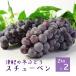  Aomori префектура производство виноград [schu- Ben ] примерно 2kgx2 коробка (10~24.).. подарок подарок 