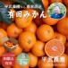 [2025 год 12 месяц отправка ] сельское хозяйство дом прямая поставка! Arita мандарин 2kg{S размер превосходящий товар }[ flat . сельское хозяйство .] Wakayama l Arita l рисовое поле .l ваш заказ l предубеждение l фрукты l..