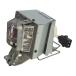 HIRO-JAPAN 512771 модель 16 универсальный товар RICOH замена лампа Ricoh HD5450 WX5460 X5460 проектор для замена лампа сменный лампа CBH