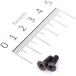 ڥ᡼߸ˤ 0900-043-02001  ޥCAPӥ() 2PC HDŹ