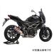110-119-5V80B 襷 åץޥե顼 R-77J EXPORT SPEC ǧ 22ǯ SV650SV650X STBS HDŹ