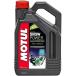 105888mochu-ruMOTUL SNOW POWER химического синтеза 2 -тактный моторное масло 4 литров SP магазин 