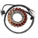 USA߸ˤ 2112-0032 Rick's Motorsport Electrics ơ륢å 98ǯ-99ǯ ޥ YFM350FW Big Bear 4x4 1 SPŹ