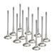 USA߸ˤ sptBMEVI-1055S-HS-12 Supertech BMW N54 Turbo 3.0L Inconel Exhaust Valve- Set of 12 SPŹ