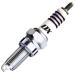 �ڥ᡼�����߸ˤ���� 91579 NGK CR9EDX-S MotoDX�ץ饰 JPŹ