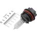 905504 NBS bike parts center head light valve(bulb) PH11 12V 40/40W JP shop 