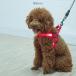  собака Harness маленький размер собака кошка Lead ошейник миниатюрный собака . собака летний симпатичный симпатичный выпадение нет воздушная трубка .... обивка предотвращение легкий простой установка и снятие маленький размер собака кошка для Harness модный 