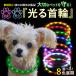  shines necklace dog LED rechargeable dog for shines USB Rainbow light small size dog large dog walk safety pet 