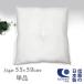 �ق���̏o�ɂ��� ���z�c 55cm�~59cm ���唻 ���{�� �Q��� �N�b�V���� ���g �傫�� ���N�b�V���� �N�b�V����BODY  �N�b�V�����J�o�[ �􂦂�