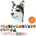  animal mask Halloween mask animal mask husky dinosaur surface white tool filter spray prevention Event an educational institution festival .. thing change equipment man and woman use natural go Muratec s made 