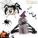  Halloween домашнее животное одежда костюмированная игра Spider костюм для домашних животных собака одежда кошка одежда костюм симпатичный поверхность белый животное . собака одежда товары для домашних животных party подарок подарок десять тысяч ..