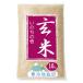 【新米】 岡山県真庭市　龍の瞳と同系 いのちの壱 10kg 玄米  送料無料 名水百選の地 ひるぜん農園 直売 通販 蒜山米