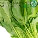  шпинат 200g химия пестициды * химия удобрение не использование Chiba производство иметь машина JAS засвидетельствование howe Len .SAFE GREEN засвидетельствование safe зеленый засвидетельствование овощи 