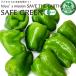  зеленый перец 100gx3 пакет комплект иметь машина JAS культивирование химия пестициды * химия удобрение не использование культивирование местного производства 