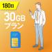 30GB/180�� �����v���y�C�hSIM�J�[�h �g���̂�SIM �f�[�^�ʐMsim docomo MVNO ��� 4G/LTE�Ή� �������p ���{ �������p