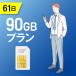 90GB/61�� �����v���y�C�hSIM�J�[�h �g���̂�SIM �f�[�^�ʐMsim docomo MVNO ��� 4G/LTE�Ή� �������p ���{ �������p