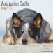 Australian Cattle Dog 2022 Wall Calendar