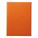 e.. кожа Touch меню книжка (A4) CLB-801 orange PEI6204
