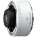 �\�j�[ 2X �e���R���o�[�^�[ FE 70-200mm F2.8 GM OSS�p SEL20TC