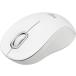  M550MOW SIGNATURE M550 磻쥹ޥ M550MOW