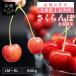  вишня Hokkaido прямая поставка от производителя . сельское хозяйство производство фрукты подарок .. Sato .. превосходящий . Hokkaido производство вишня 500g ( оплата при получении не возможно ) (TD)