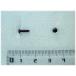  crystal I прозрачный 4.5mm 10 шт 