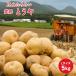 [ предварительный заказ распродажа 9 месяц сверху . отправка ]JA..... Hokkaido производство север видеть желтый . картофель 5kg.... еда гурман овощи подарок бесплатная доставка . покупка 