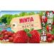 * Asahi еда mintia.....50 шарик [10 шт. комплект ]
