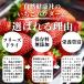 �������p�E�_�[ 100g �X�g���x���[ �p�E�_�[ ���� ���Y�� �֘A�摜4