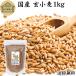 . пшеница 1kg все шарик пшеница местного производства Hokkaido производство ..... для бизнеса клетчатка 