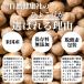 �Ђ悱�� 1kg�~10�� �Ђ悱�܂� �K���o���]�[ �G�W�v�g�� ���Y�� �֘A�摜4