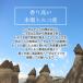 �w�[�[���i�b�c 40g �f�Ă� ���� ���Y�� ���[�X�g �������� ������ �g���R�Y �|�C���g���p ���������i �T���v�� ���� �֘A�摜5