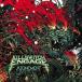 Killswitch Engage ���륹�����å����󥲥��� / Atonement   ��LP��