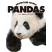 ADVENTURE WORLD PANDAS Hello ... Panda Family / small . thousand one .(book@)