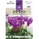  цикламен персидский сад цикламен персидский . вид цикламен персидский NHK хобби. садоводство 12. месяц культивирование navi / Yoshida . один ( садоводство ) ( полное собрание сочинений *. документ 