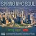  сборник ( компиляция ) / Spring Nyc Soul зарубежная запись (CD)