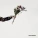 SUPER BEAVER / Islay vu You (CD)
