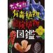yaba..!!! иметь . растения * опасно растения иллюстрированная книга / гарантия ...(книга@)