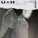 gato / U+H (CD)