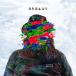 SHANK автомобиль nk/ STEADY (CD)