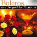  сборник ( компиляция ) / Boleros En Aquella Epoca: тот примерно. bolle ro записано в Японии (CD)