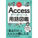  Speedmaster Access база даннных словарный запас иллюстрированная книга / сейчас ....(книга@)
