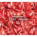 DOBERMAN INFINITY / LOST + FOUND [ первый раз производство ограничение ](+Blu-ray) (CD)